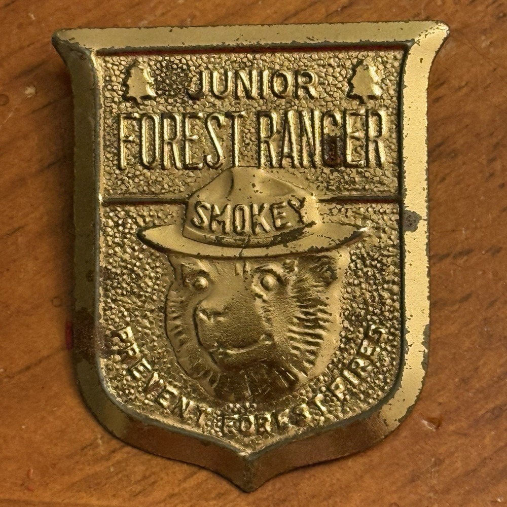 Junior Forest Ranger Smokey Bear You Can Prevent Forest Fires Vintage Badge Pin